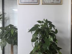 -上海海驰律师事务所