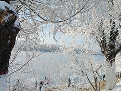 -雾凇岛