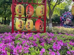 -武汉园博园(武汉自然博物馆)