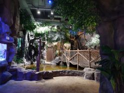 -宝燕乐园(闵行旗舰店)