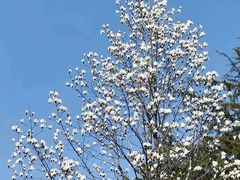 -白塘生态植物园