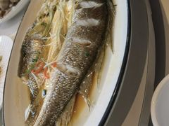-光明邨大酒家(淮海路店)