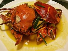 -华盛丰温州大排档(东三环南路店)