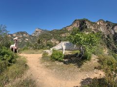 -圣莲山风景区