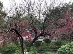 -乌山风景区