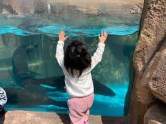 -波塞冬旅游度假区