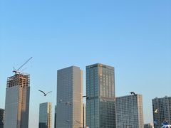 -东港音乐喷泉广场