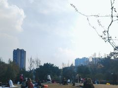 -沙河三洞古桥公园