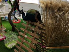 -万达广场(盐城盐都店)