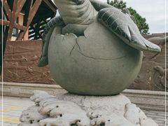 -广东惠东海龟国家级自然保护区