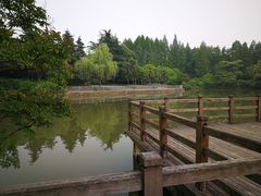 -汇龙潭