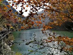 -磐安舞龙峡景区