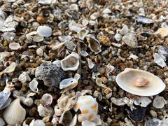 -玫瑰海岸文化旅游度假区