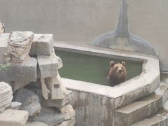 -保定市动物园