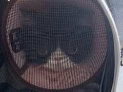 -瑞派福兴宠物医院犬猫全科·骨科·中西医结合(河东店)