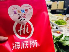 -海底捞火锅(吾悦国际广场店)
