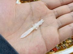 -老字号怡玺·藿香雅鱼(20年雅安店)