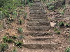 -青龙山国家森林公园