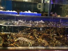 -辉记炭烧海鲜大排档·老字号(福田店)