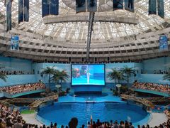 -海合安成都极地海洋公园