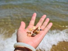 -海云台海滩