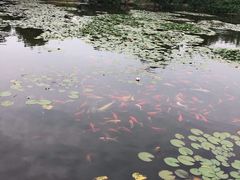 -白马涧龙池景区
