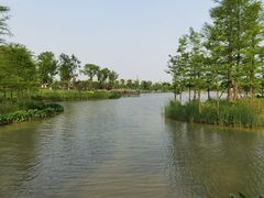 -九科绿洲