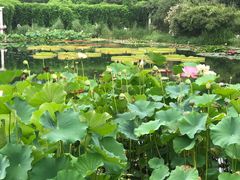 -国家植物园南园