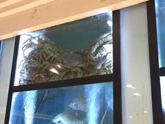 -新加坡海鲜共和(名胜世界圣淘沙海滨坊)