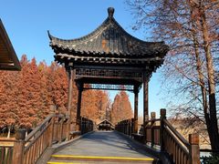 -溱湖国家湿地公园