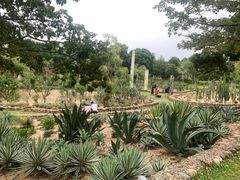 -东莞植物园