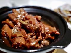 鲍汁凤爪-维园悦谱·海派家常菜(乌鲁木齐南路店)