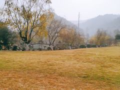 -桃花岭景区
