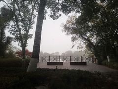 -上海市保健医疗中心