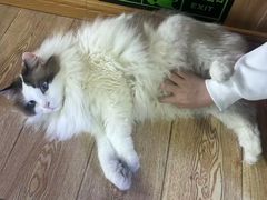 -白兔子密室(长寿路店)