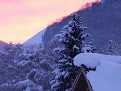 -塞罕坝国家级自然保护区