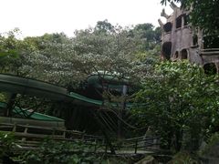 -天门沟九州驿站树上汤泉