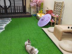 -白兔子密室(长寿路店)