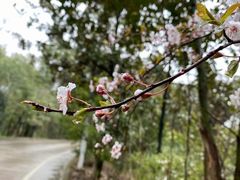 -兴福老面馆(寺路街店)