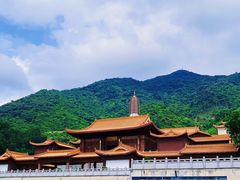 -深圳仙湖植物园