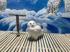 -成都浩海立方海洋公园