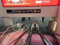 -青岛胶东国际机场