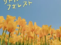 -大宁公园