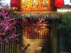 -泡桐树街