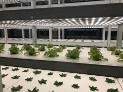 -安利上海体验馆