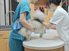 -联合动物医院(光谷诊疗中心)