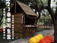 -杨梅红艺术教育(深圳南山书城教学中心)