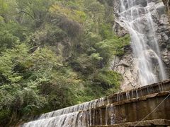 -石葵(锦业时代店)