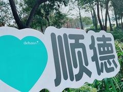-顺峰山公园