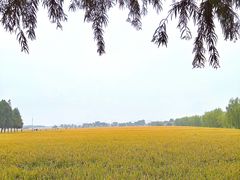 -嘉北郊野公园